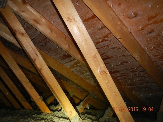 Keeping your Roof and Attic Dry - Accurate Inspection Service